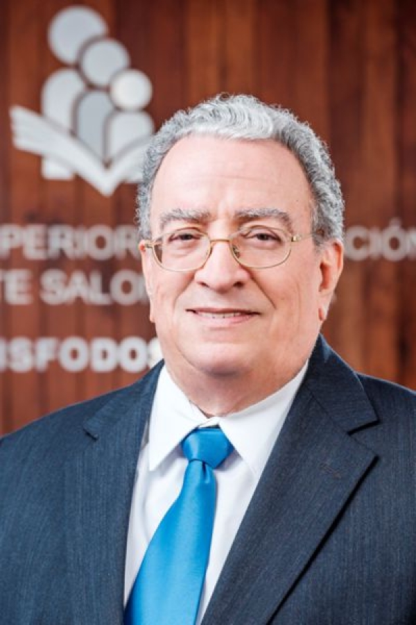 Radhamés Mejía, Vicepresidente